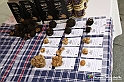 VBS_1271 - Fiera Nazionale del Tartufo e dei Santi 2022